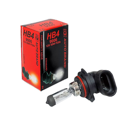 (4809) Sijalica 12V HB4 AB32455